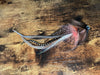 Musky Slider by Evan Gillis