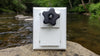 Transducer Sled | Musky Town