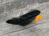 Big Belly Baitfish Predator Fly, Black/Orange | Musky Town