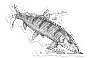 Flats Town "Tailing Bone" Fly Art Decal | Musky Town