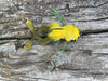 Deer Hair Frog | Musky Town