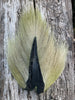 Musky Town Tails - Premium Graded Bucktail (4"+) | Musky Town
