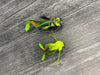 Deer Hair Frog Diver | Musky Town