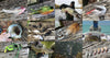 Musky Town Fly Club™ | Musky Town