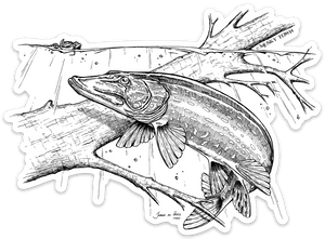 MT "Northern Duckling" Fly Art Decal | Musky Town