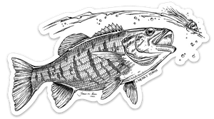 MT "Diver Smallie" Fly Art Decal | Musky Town