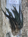 Root River Hackle - 6-8" Schlappen Pack (Natural & Dyed) | Musky Town