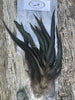 Root River Hackle - 6-8" Schlappen Pack (Natural & Dyed) | Musky Town