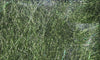 Fly Fish Food's Bruiser Blend | Musky Town