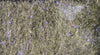 Fly Fish Food's Bruiser Blend | Musky Town