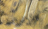 Black Barred Rabbit Strips | Musky Town