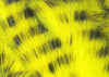 Black Barred Rabbit Strips | Musky Town