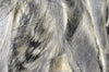 Black Barred Rabbit Strips | Musky Town
