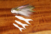 Cohen's Minnow Tails | Musky Town