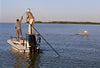 Cortland Tarpon Tropic Plus | Musky Town