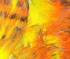 Tiger Barred Rabbit Strips | Musky Town