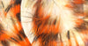 Tiger Barred Rabbit Strips | Musky Town