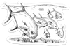 Flats Town "Permit School" Fly Art Decal | Musky Town